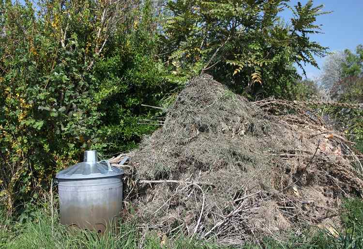 Why Choose Skip Hire For Your Garden Waste