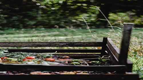 START A COMPOST HEAP