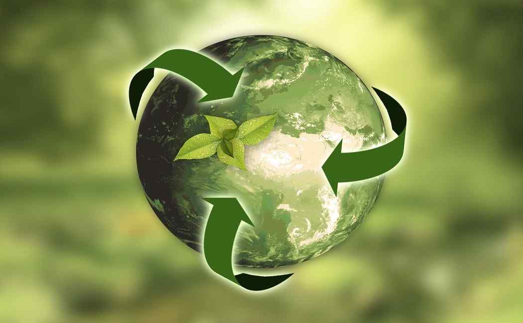 Three Easy Ways To Increase Your Recycling Efforts